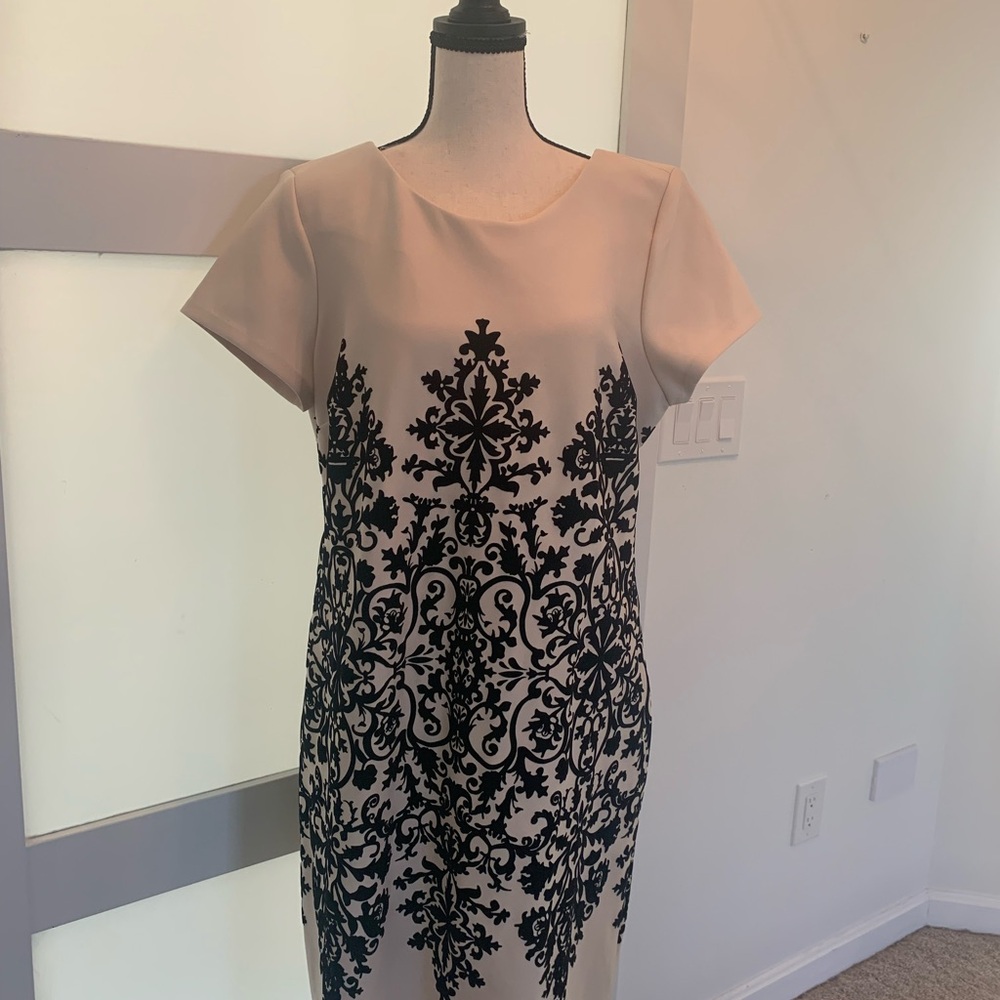 Beautiful black velvet on beige dress.